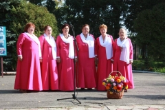 IMG_6574_1001x667-min