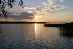 GORODNYA Mihalykevich (131)_998x749