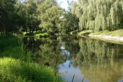 GORODNYA Mihalykevich (139)_998x749
