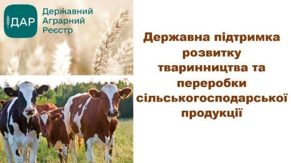 Державна підтримка розвитку тваринництва та переробки сільськогосподарської продукції
