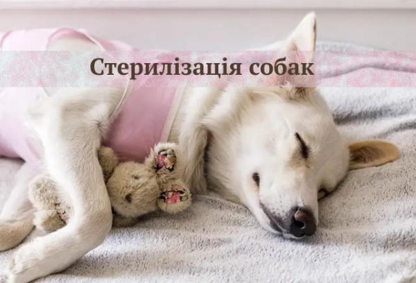До уваги жителів громади