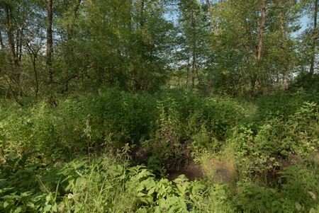 Інформування про режим охорони та збереження території об’єкта природно-заповідного фонду –  Гідрологічний заказник місцевого значення «Панська лоза»